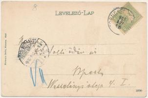 1905 Trencsénteplic, Trencianske Teplice; látkép / general view (EK)