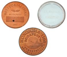 1993. "MABÉOSZ / Bélyegkiállítás Budapest - Magyarország Lengyelország 1993" kétoldalas Cu...