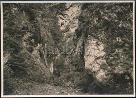 cca 1910 Tömös-völgy, Erdélyi Mór felvétele, hátulján feliratozva, 11,5×16 cm / The valley of Timis river, photo of Mór Erdélyi, with notes on its back