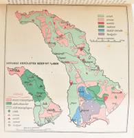 Zsebatlasz naptárral és statisztikai adatokkal az 1919. évre. Szerk.: Dr. Bátky Zsigmond. Bp., 1918,...