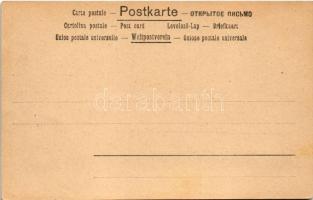 SM Torpedokreuzer Zenta und Leopard an der Küste von Japan / Osztrák-Magyar Haditengerészet SMS Zent...