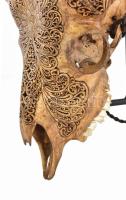 Indonéz csontfaragó mester: Faragott kosfej, tartón. Gazdagon faragott kosfej, 37x26x13 cm, vas tart...