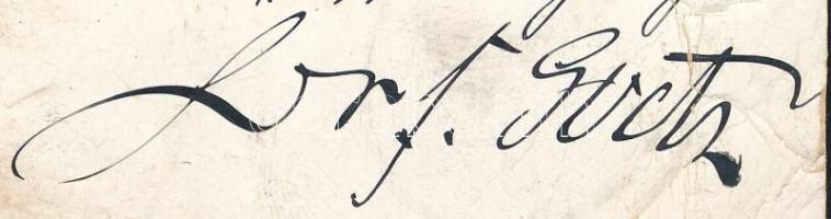 Dr. Ferdiand Goetz (1826-1915) német orvos és politikus, a német tornaegylet elnökének saját kezű so...