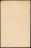 Székely Aladár (1870-1940): Ady Endre portréja, fotó, a hátoldalán pecséttel jelzett, a sarkain kis ...