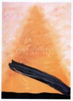 István Nádler. AL Galerie Gerlinde Walz. Német nyelven. Színes képekkel, Nádler István műveinek repr...