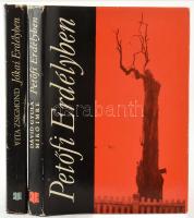 Dávid Gyula - Mikó Imre: Petőfi Erdélyben. + Vita Zsigmond: Jókai Erdélyben. Bukarest, 1972-1975, Kriterion. Kiadói egészvászon-kötés, kissé sérült kiadói papír védőborítóban.