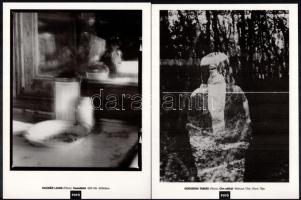 Fiatal magyar fotó 1990 után 6 db fotó reprodukció és kísérőfüzet 24x20 cm Borítékban