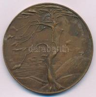 Kiss Nagy András (1930-1997) DN "Csontváry Tivadar 1853-1919" kétoldalas bronz emlékérem (...