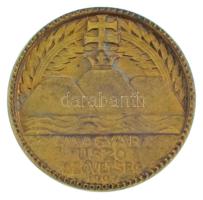 Göröntsér Greff Lajos (1888-1976) 1907. "Magyar Úszó Szövetség" egyoldalas bronz emlékérem eredeti, kopott dísztokban (41mm) T:AU patina