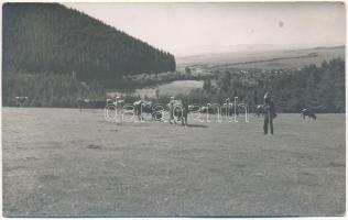 Csernátfalu, Cernatu (Négyfalu, Sacele); Poiana Anghelescu / erdélyi folklór / Transylvanian folklore. G. Gödri photo