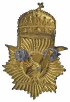 DN Koronás, karmai között kardot tartó turult ábrázoló bronz lemezjelvény, egyik rögzítőpánt hiányzi...