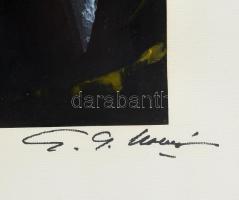 Georg Molnar (?-?): Furcsa párbeszéd. Akril, papír. Üvegezett fakeretben, 49×31,5 cm