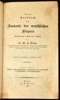 Weber, M[oritz] I[gnaz]: Vollständiges Handbuch der Anatomie des menschlichen Körpers. Zweiter Band. Bonn, 1842, H. B. König,2+622 p. Német nyelven. Aranyozott félbőr-kötésben, mintás lapélekkel, kopott borítóval, egy-két foltos lappal.