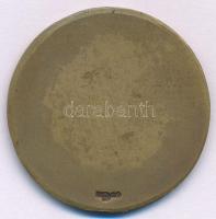 Göröntsér Greff Lajos (1888-1976) 1907. "M.U.SZ. (Magyar Úszó Szövetség)" bronz emlékérem,...