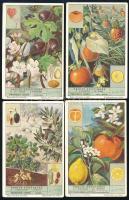 11 db Liebig belga gyűjtőkép (történelem, növények), 11x7 cm / Liebig Beligan collectible pictures (...