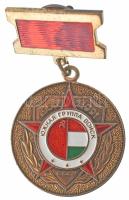 Szovjetunió 1991. Déli Hadseregcsoport Magyarország Szolgálati Érem műgyantás kitüntetés T:AU Soviet Union 1991. Southern Group of Forces YUGV Hungaria 1956-1991 service medal C:AU