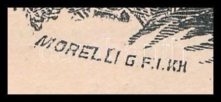 Morelli Gusztáv (1848-1909): Der Héviz-See - Badenanstalt Héviz (Hévizi-tó, Tófürdő). Rotációs famet...