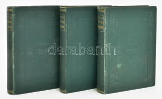 Carlyle Tamás: A franczia forradalom I-III. A M. Tud Akadémia megbízásából fordította Baráth Ferencz. Bp., 1875-1878, MTA. Kiadói egészvászon sorozatkötésben, I. kötet gerince kissé sérült, II. kötet részben felvágatlan lapokkal, III. kötetben néhány lapon ceruzás jelöléssel.