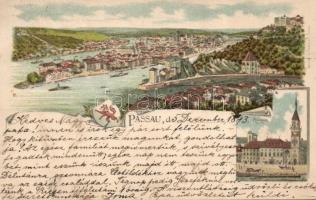 1893 Passau with Town hall litho (fa)