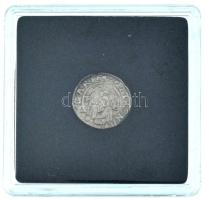 1543K-B Denár Ag "I. Ferdinánd" kapszulában (~0,50g) T:AU Hungary 1543K-B Denar Ag "F...