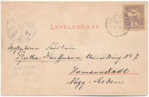 1900 Szenterzsébet, Hammersdorf, Gusterita (Nagyszeben, Sibiu); látkép. Verl. d. Buchh. G. A. Seraph...