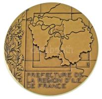 Franciaország DN "Ile de France prefektúra" bronz emlékérem "Monnaie de Paris" g...