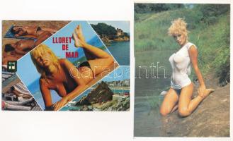 33 db MODERN erotikus motívum képeslap: meztelen nők