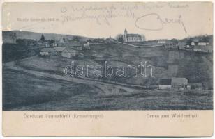 1918 Temesfő, Weidenthal, Brebu Nou, Vaidental; látkép / general view (szakadás / tear)