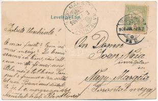 1906 Szákul, Sacu; Castell Baron Radussewich, Gr. or. Kirche, Turbinen-Mühle, Kutscherauer Béla / Ra...