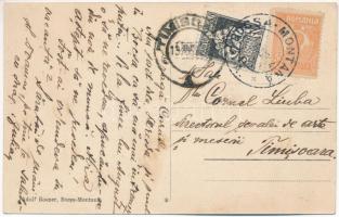 1924 Boksánbánya, Németbogsán, Deutsch-Bogsan, Bocsa Montana; látkép. Adolf Rosner kiadása / general...