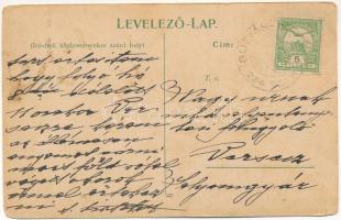 1910 Buziás, Buziásfürdő, Baile Buzias; Gyógyterem, Mihály-forrás, Meleg fürdő, Fasor a meleg fürdőh...