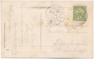 1910 Buziásfürdő, Baile Buzias; Szent Antal tó a Phőnixfürdővel. Francz József kiadása / lake, bath,...