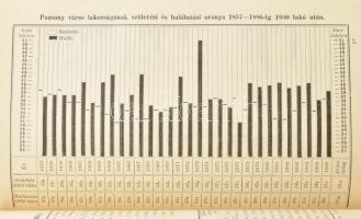 Megyei monográfiák. Magyarország közgazdasági és közművelődési állapota a XIX. század végén. I. köte...