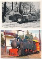 33 db MODERN magyar vasúti képeslap: Királyréti Erdei Vasút, Pest Vármegye, Ipoly, Börzsöny, Kismaro...