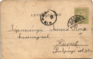 1904 Kassa, Kosice; Csermelyvölgyi kioszk. Vitéz A. kiadása / kiosk, restaurant (EB)