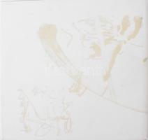 Kányádi Sándor: Vae victis. Stuttgart, 1993. AL ed. Vác, Nalors-Graphic. Szabados Árpád, Swierkiewic...