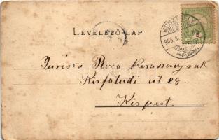 1905 Balaton, BAROSS gőzös, gőzhajó. Mérei Ignác kiadása (EB)