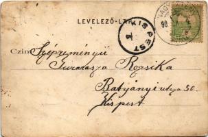 Budapest XXII. Nagytétény, Nagy-Tétény; Diósárok (Diós árok), szőlőskertek. Szakály Károly kiadása (...