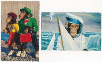 9 db MODERN humoros állatos képeslap majommal / 9 modern funny animal postcards with monkey