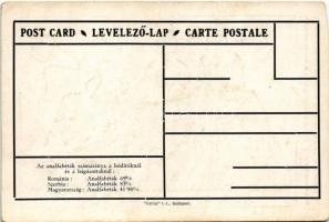 Az analfabéták számaránya a hódítóknál és a leigázottaknál: Románia, Szerbia, Magyarország. Kiadja a...
