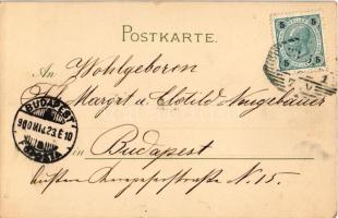 1900 Meissner & Buch Künstler-Postkarten Serie 1065. "Aus der guten alten Zeit" litho ...