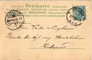 1901 Viel Glück im neuen Jahre! / New Year greeting art postcard with fairy, pigs and clovers. Art N...