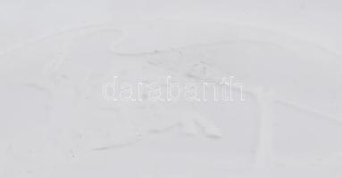 Herend litofán tányér, csikós jelenettel, jelzés nélkül, hibátlan, d: 15,5 cm