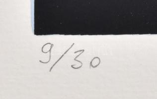 Halász Szabó Sándor (1920-1997): Színes formák. Szitanyomat, papír, jelzett, sorszámozott (9/30). Pa...