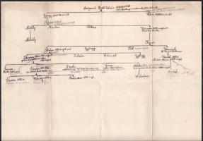 cca 1870 a mezőpauili Bodó család családfája és családfakutatási jegyzetek 43x34 cm