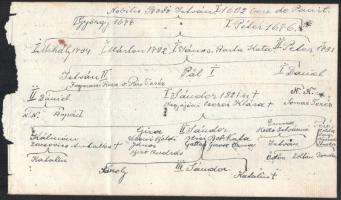 cca 1870 a mezőpauili Bodó család családfája és családfakutatási jegyzetek 43x34 cm