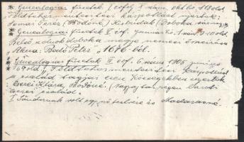 cca 1870 a mezőpauili Bodó család családfája és családfakutatási jegyzetek 43x34 cm