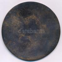 DN "Szervezési és Vezetési Tudományos Társaság - Társasági Munkáért Érem" aranyozott fém e...