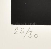 Halász Szabó Sándor (1920-1997): Hullámzó formák. Szitanyomat, papír, jelzett, számozott (23/30), 33...