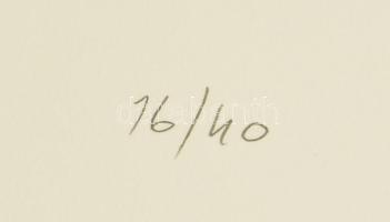 Hetey Katalin (1924-2010): Geometria. Szitanyomat, papír. Jelzett. Számozott (16/40). Lapméret: 54x4...